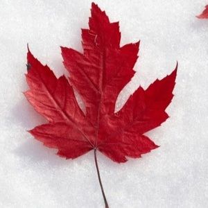 Meet your Posher, Manisha